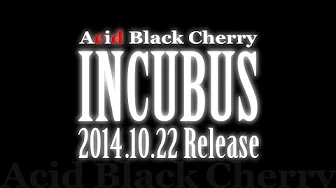 Acid Black Cherry／INCUBUS