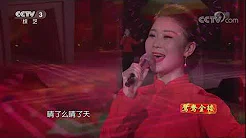 [综艺盛典]歌曲《山丹丹开花红艳艳》 表演：孙卫笑 | CCTV