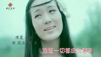 【热门歌曲】龙梅子 - 海鸥飞（高清1080P）自制KTV歌词版