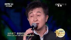 [2016中央电视台中秋晚会]歌曲《当你老了》 演唱：付笛声 任静 付豪 | CCTV-4