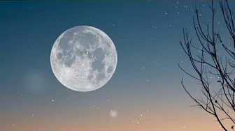 月亮代表我的心 [ 华语流行歌曲 ] / 演唱: 张国荣