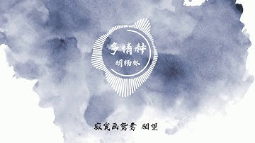 胡杨林 - 多情种 【歌词/Lyrics Video】
