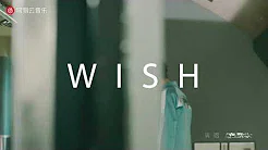 抖音男孩/ 费启鸣 FeiQiMing  【WISH MV】