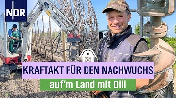 Apfelbäume pflanzen - mit Bohrer und Bagger  | Folge 13 | NDR auf'm Land mit Olli