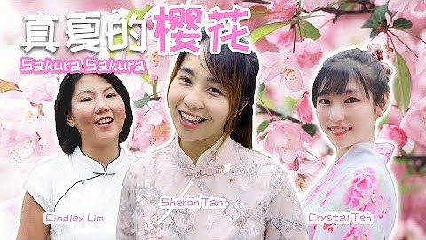 真夏的樱花 【Sakura】张善为; 稻村壤治 (Mandarin & Japanese Cover by Sheron Tan, Crystal Teh & Cindley Lim)