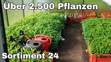 Mein Pflanzensortiment 2024 -  über 2.500 Gemüsepflanzen