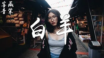曲肖冰 - 白羊「爱的过份张扬，青春的模样」动态歌词版MV