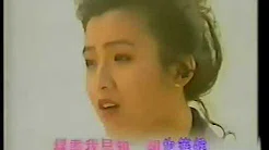 曾航生、何婉盈 - 再见亦是朋友(1992)