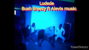 Ludede by Bush Breezy ft Alevis
