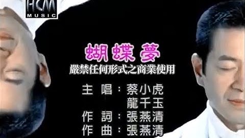 蔡小虎vs龙千玉-蝴蝶梦(官方KTV版)