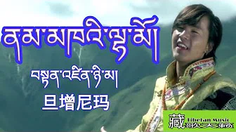 旦增尼玛 藏歌（3）超级好听Tenzin Nyima