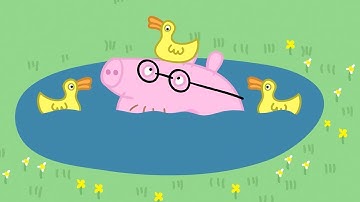 Peppa Pig en Español Episodios completos Papá pierde sus gafas | Pepa la cerdita