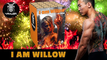 I am Willow - 03884  |  CAT 2  |  Official video