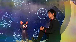 Sailor Moon Moonlight Fantasy by Ivan 王友良