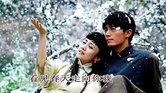一剪梅 - 刘紫玲 A Spray of Plum Blossoms - Liu Ziling