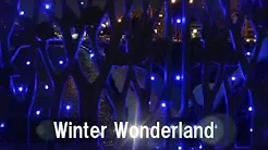 Winter Wonderland cover holoholom
