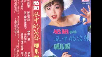 恬妞 - 丑小鸭 (1984年专辑)