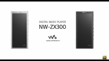 Walkman | NW ZX300 | Hi-Res 音樂播放器