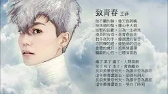 王菲 - 最新单曲 《致青春》