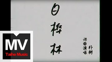 朴树【白樺林】官方完整版 MV