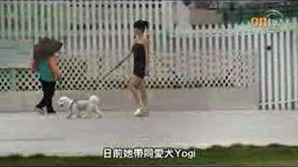 关心妍腾鸡扯尾护爱犬