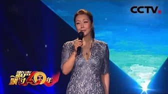 [歌声飘过40年] 孙悦经典歌曲《祝你平安》，送给每一个辛勤劳作的人! | CCTV综艺