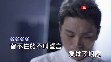 雨宗林 - 想你心会痛（高清1080P）KTV原版
