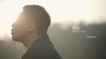 理想混蛋 鸡丁【漂鸟 The Stray Bird】Official Music Video