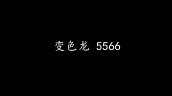 变色龙 5566 (歌词版)