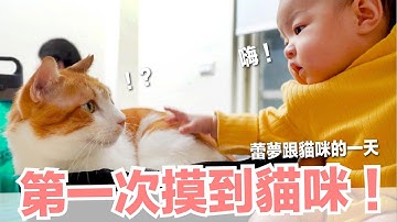 【小猫奴养成记EP10】第一次摸到猫咪！蕾梦跟猫咪的一天～