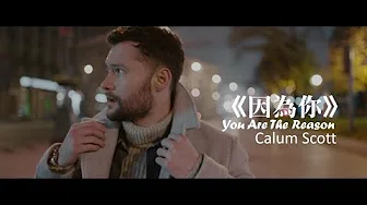 Calum Scott - You Are The Reason 因為你 (中文字幕MV)