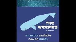 The Weepies - Antarctica (Audio)