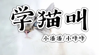 小潘潘和小峰峰共同演唱的歌曲《学猫叫》，歌曲萌萌噠
