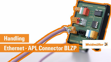 Handling | Ethernet-APL Connector BLZP